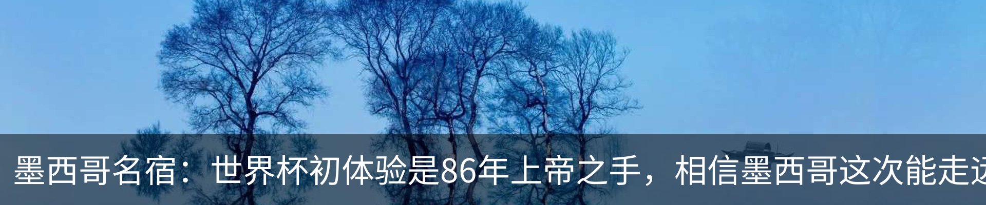 新闻动态