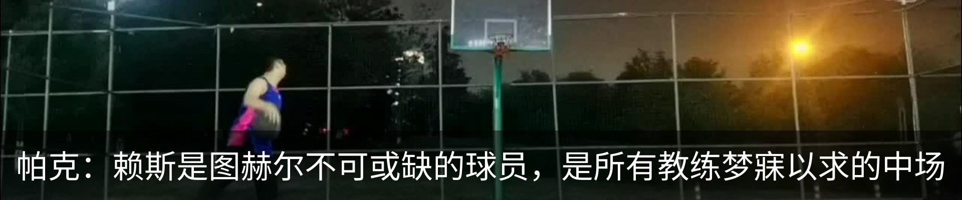 新闻动态